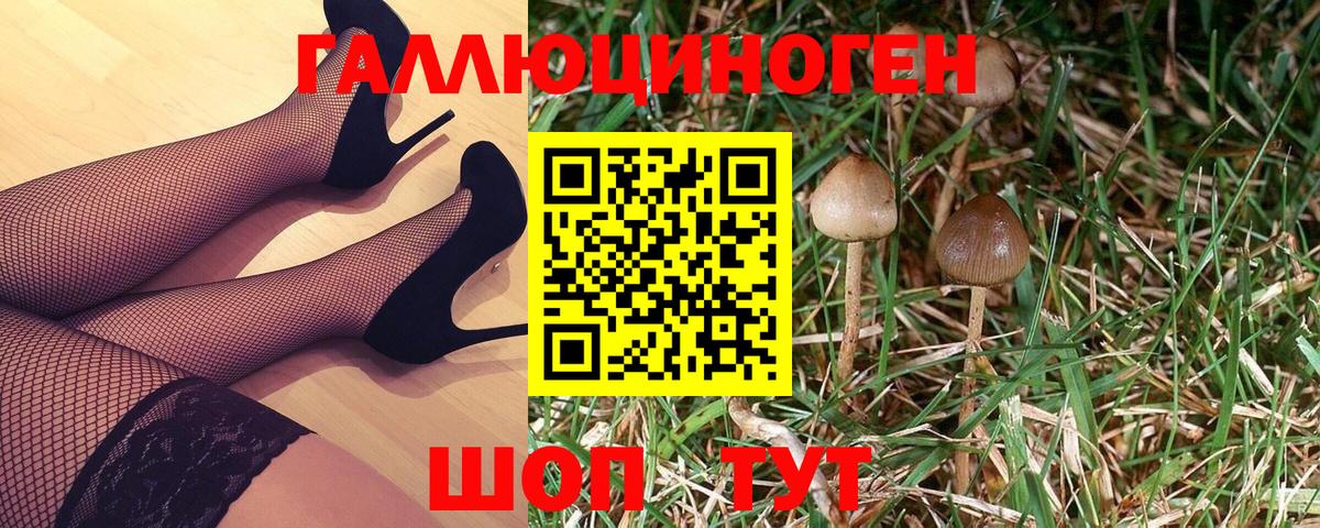 Галлюциногенные грибы Psilocybe Выкса