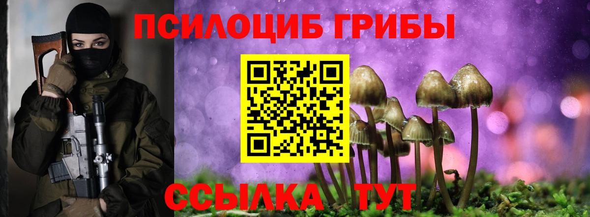 Галлюциногенные грибы ЛСД  Галлюциногенные грибы прущие грибы  Выкса  Вход с VPN 